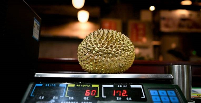 Plantațiile de durian pun în pericol jungla