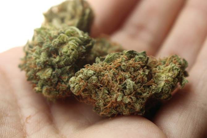 Cannabisul va fi disponibil în farmacii