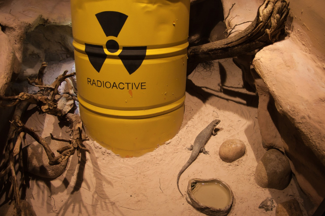 Gaz radioactiv scăpat dintr-un reactor nuclear, în China. O companie franceză a cerut ajutor SUA