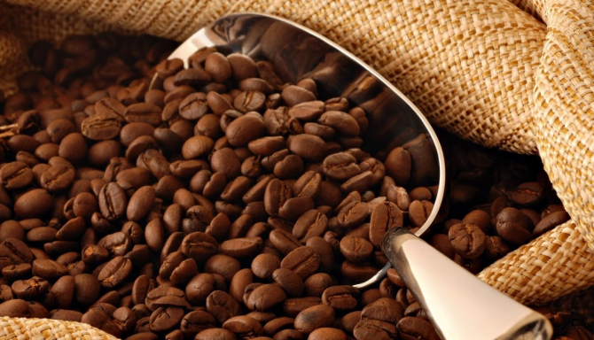 Producția de cafea din Brazialia, periclitată de îngheț