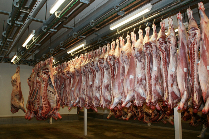 Producătorii de carne de porc din România au trimis premierului o scrisoare deschisă