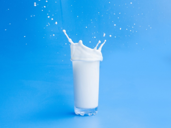 Un start-up produce lactate fără... VACI