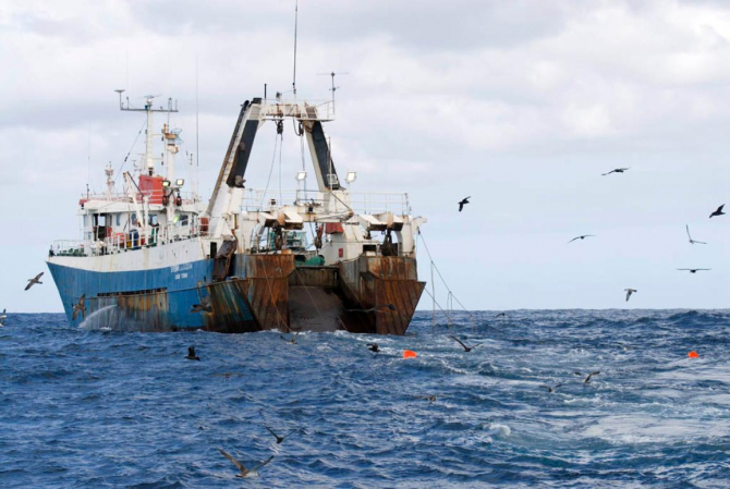 Comisia Europeană a stabilit cotele de pește care se pot pescui din Marea Neagră și Marea Mediterană