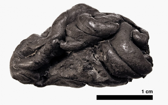 Gumă veche de 6 mii de ani