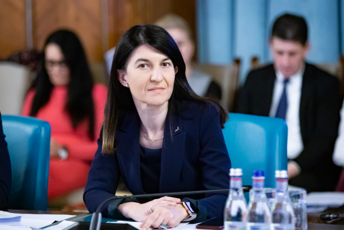 Ministrul demis al Muncii, Violeta Alexandru, afirmă că se va implica personal pentru reducerea duratei de peste un an în stabilirea pensiilor internaţionale pentru români