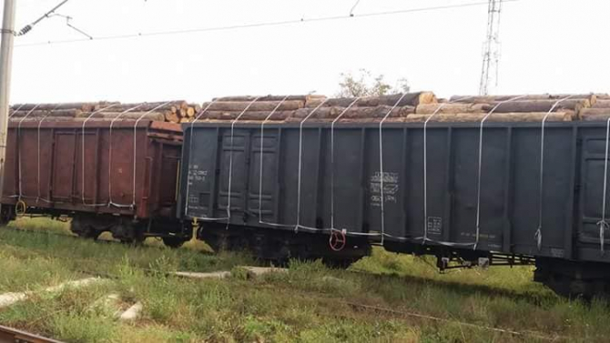 Ministrul Mediului spune că știrile conform cărora trenuri încărcate cu lemn ar fi părăsit țara ar fi știri false