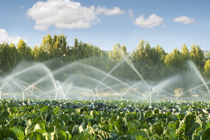 Ministerul Agriculturii alocă 1,5 miliarde de euro pentru irigaţii, desecare şi drenaj