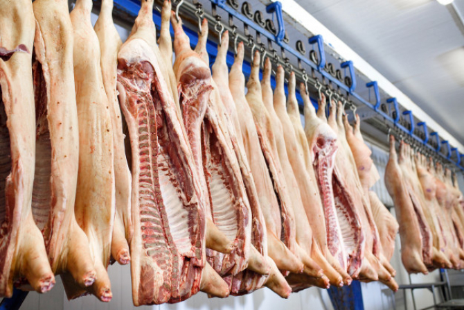 Epidemia de pestă porcină africană contribuie, împreună cu majorarea a costurilor cu hrana animalelor, la creșterea prețului la carnea de porc, care se apropie în ultimul an de 5%.
