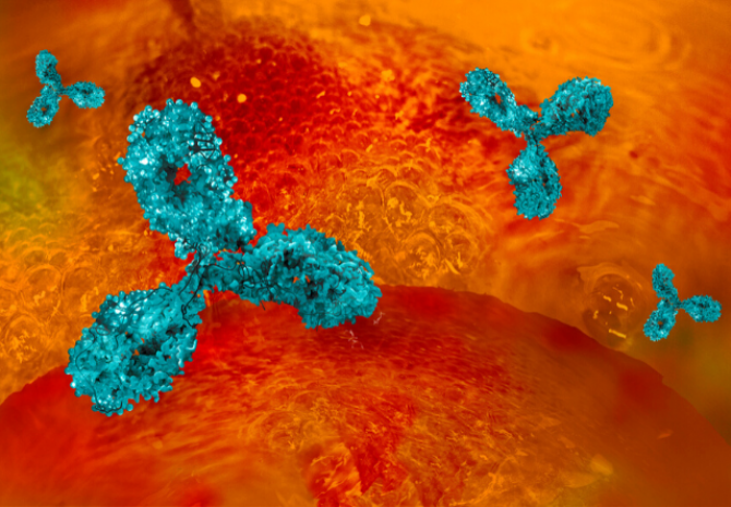 REGN-COV2 este primul tratament conceput special împotriva SARS-CoV-2