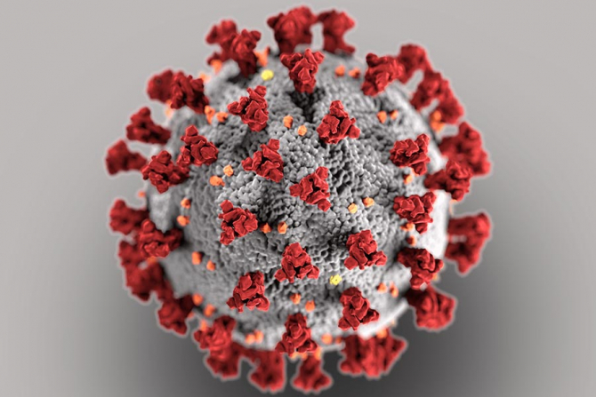 O descoperiree revoluționară ajută în lupta cu noul coronavirus