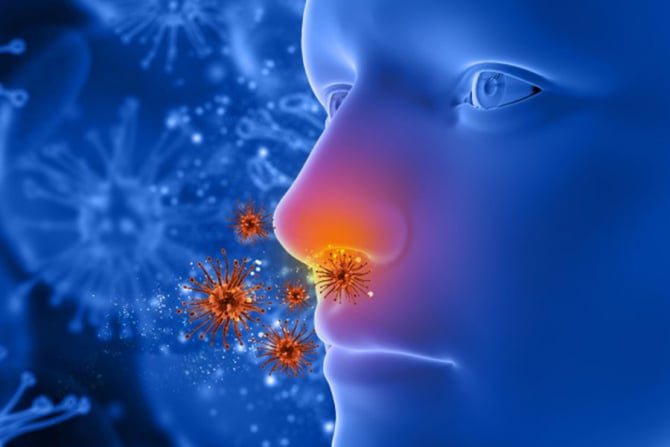 Pierderea mirosului este un simptom unic pentru un astfel de coronavirus
