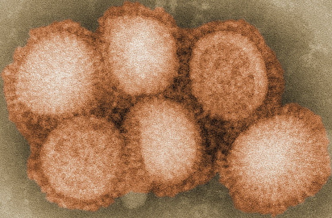 Acest virus poate deveni în scurtă vreme deosebit de periculos