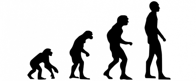 Evoluția omului, așa cum este ea cunoscută, pusă sub semnul întrebării