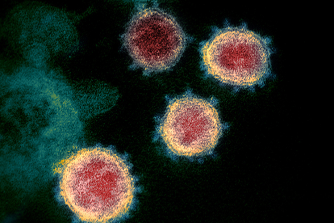 Oamenii de știință din Wuhan și cercetătorii americani au intenționat să creeze un coronavirus, în 2018