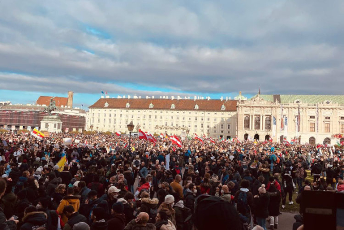 Protest masiv la Viena