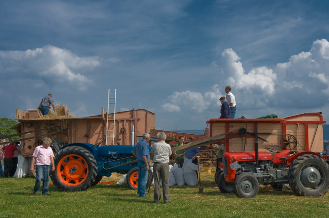 BERD pune la dispoziția fermierilor români 20 de milioane de euro pentru a crește siguranța alimentară / Foto: Unsplash