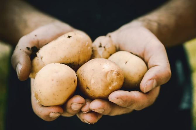 Cartofii tind să devină un produs de lux