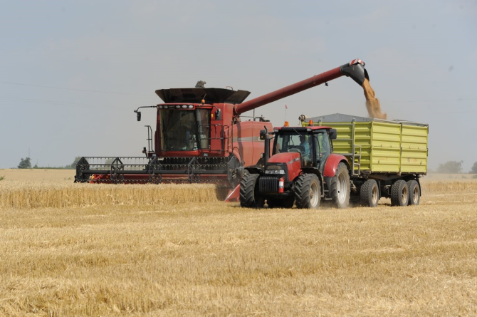 Recolta de anul viitor ar putea fi mai mică cu 40% - oficial ucrainean din agricultură