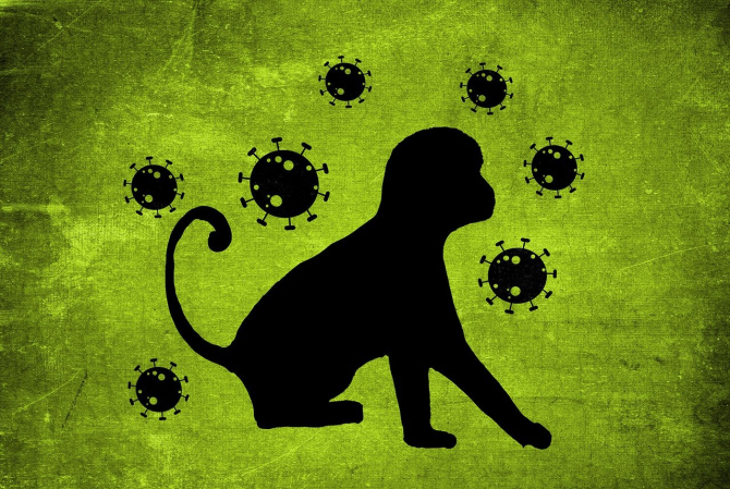 A fost depistat primul caz de variola maimuței din România