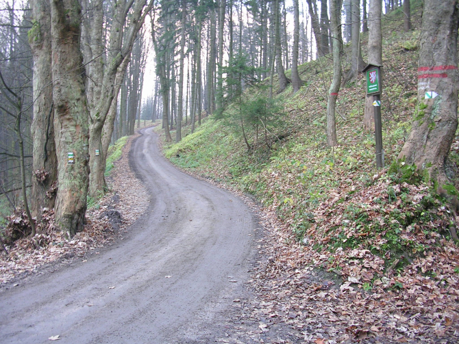România nu are destule drumuri forestiere