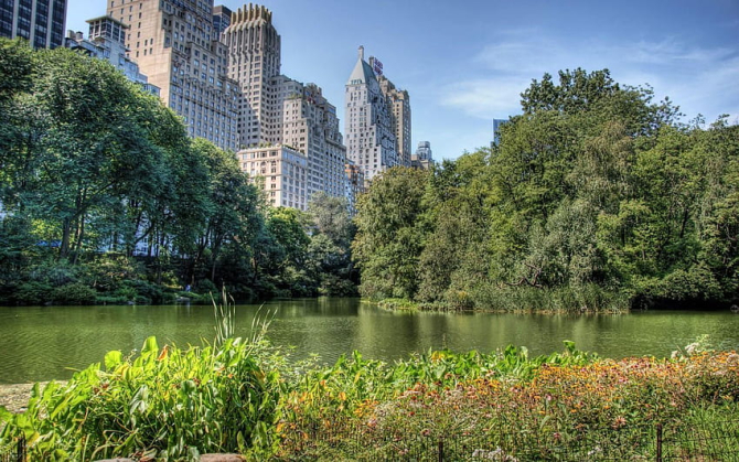 Un apartament cu vedere spre Central Park