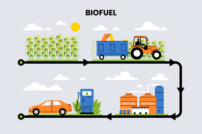 Traseul biocombustibililor / Foto: Freepik